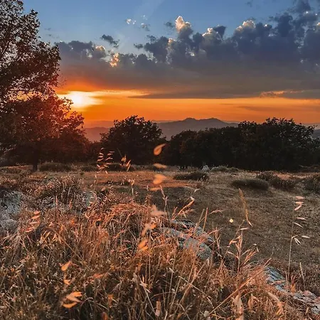 Casa Masini Bed & Breakfast Fonni