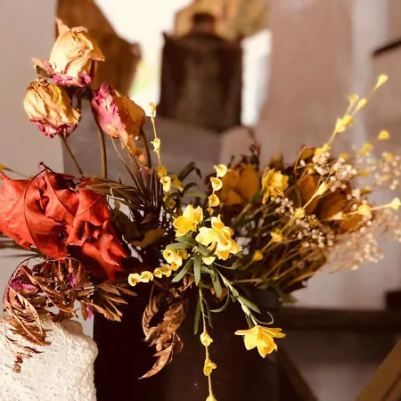 住宿加早餐酒店 Casa Masini Authentic Barbagia Boutique 丰尼